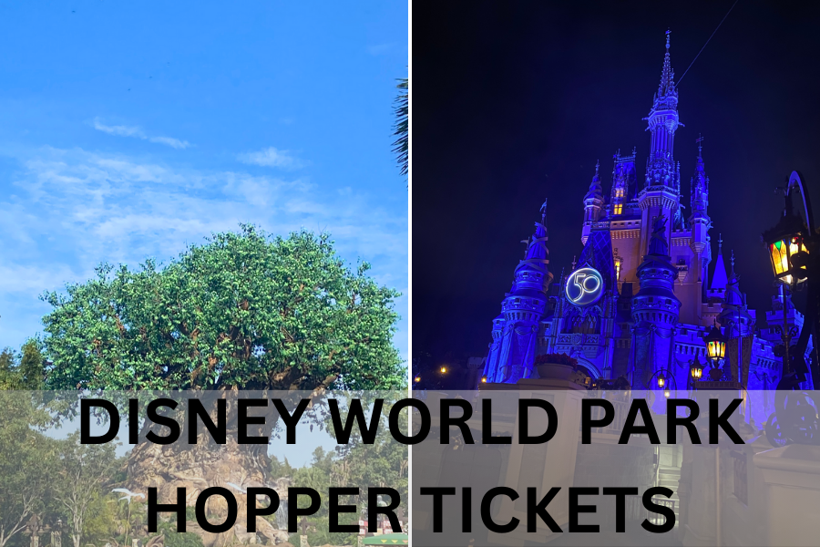 7 Reasons Why Disney World Park Hopper Tickets Are Not Worth The Money